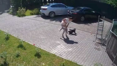 обезьяна