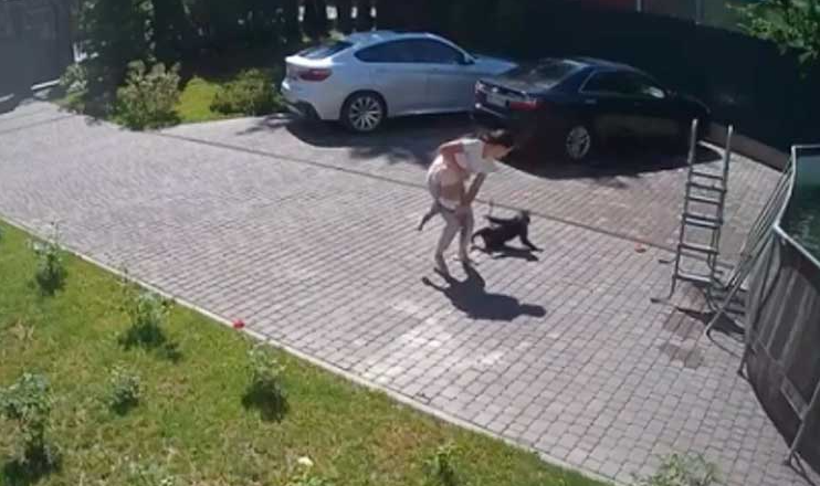 обезьяна