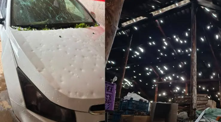 Есть крыши, напоминающие сетку.