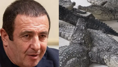 крокодил