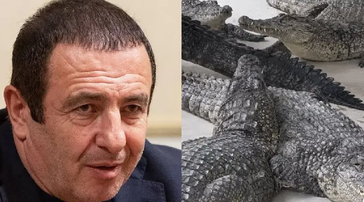 крокодил