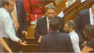 После слова «теленок» Тарон Чахоян спорит с Арамом Вардеваняном, используя руки и ноги.