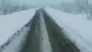 Первый снег
