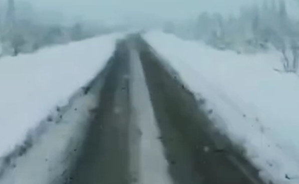 Первый снег