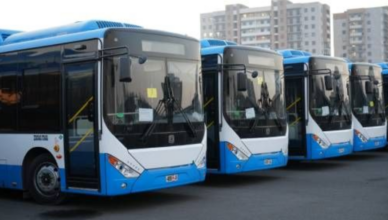 автобусы
