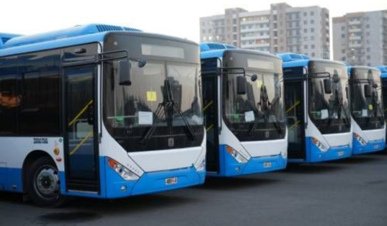 автобусы